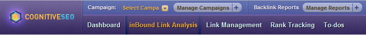cognitiveSEO Top