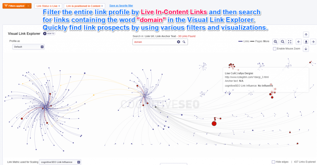 Filter and Analyze only Live & In Content Links