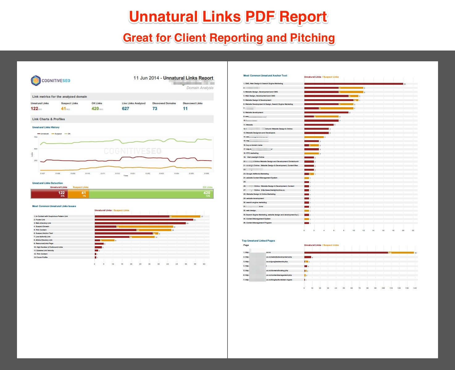 Unnatural Links PDF Report Pitch
