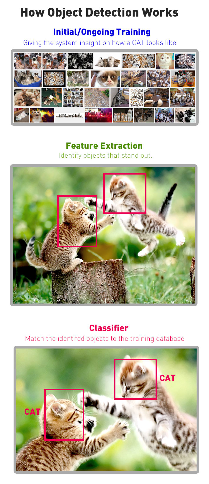 How Object Detection in Images Works