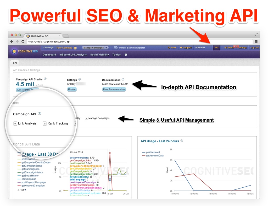 cognitiveSEO API cognitiveSEO API