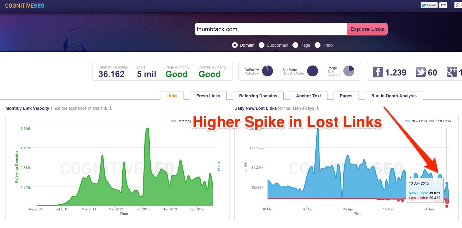 Thumbtack users image