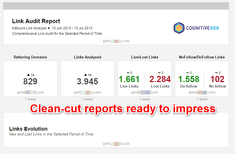 cognitiveSEO Reports