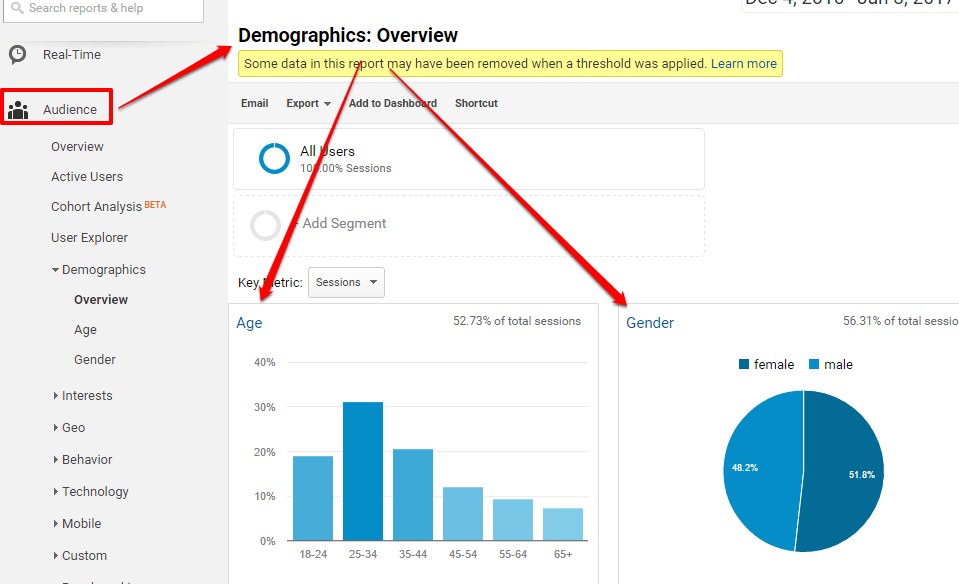 Analytics Demographics example