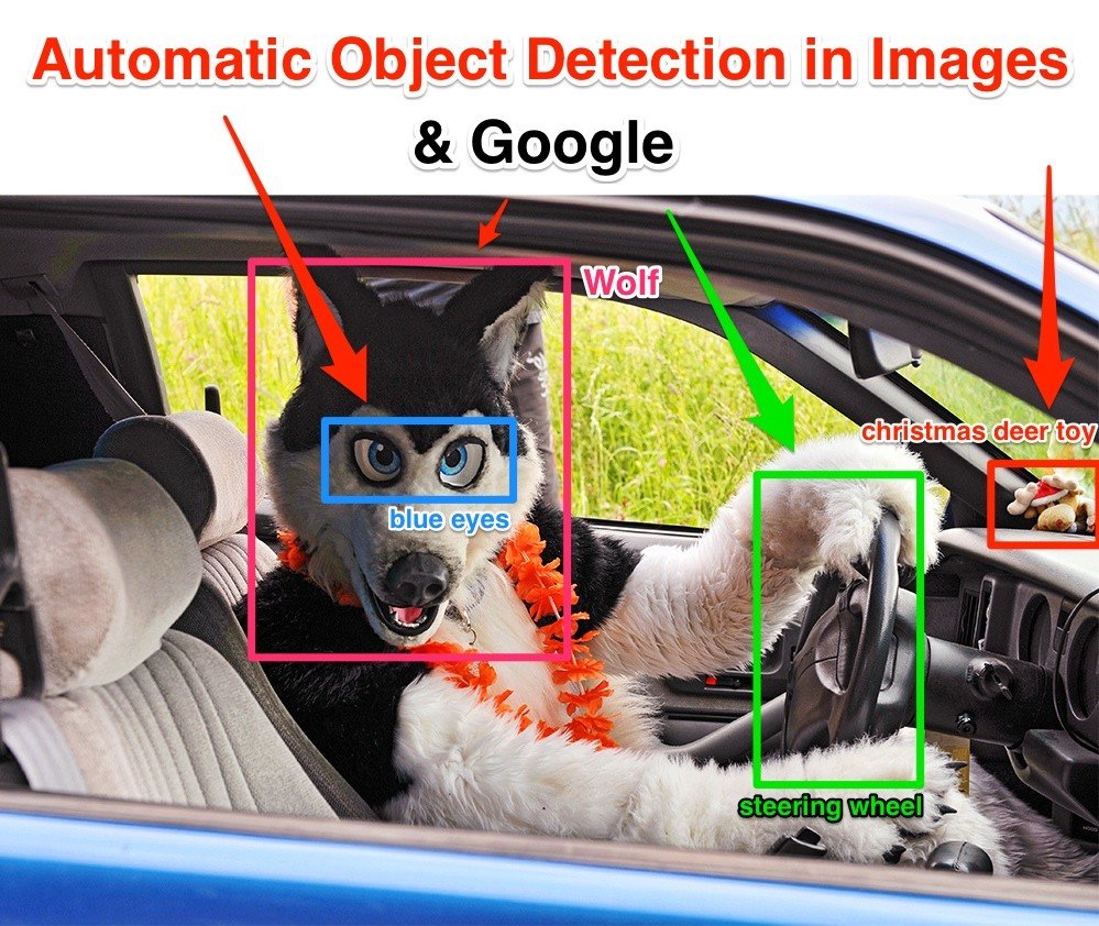 自动物体检测图像Google