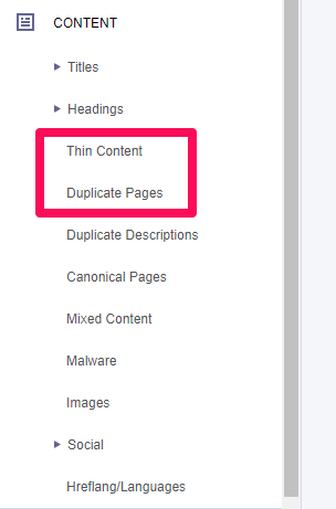Duplicate & Thin Content