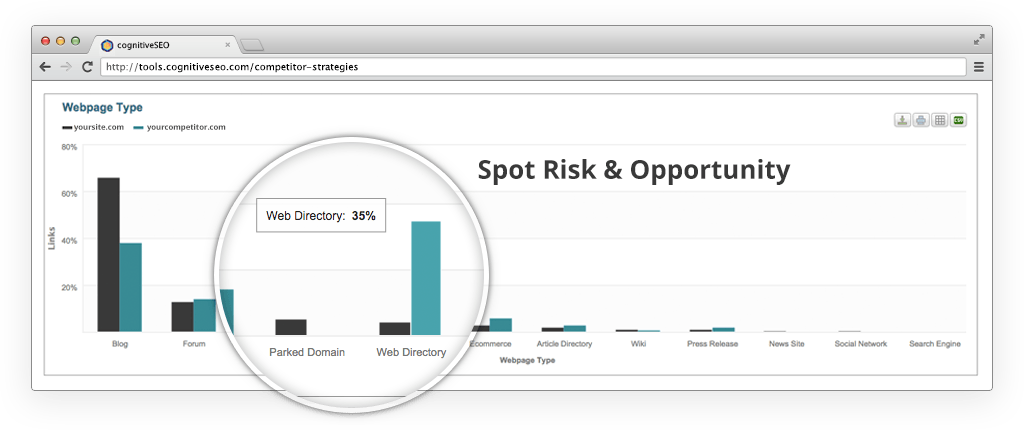 Site Audit by cognitiveSEO Image